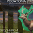 Фотоконкурс «Природа и биоразнообразие атомных городов» - Администрация